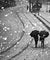 Can you run barefoot in the cold?